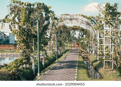 A brick pathway leads to a small, wooden gazebo, sheltered beneath a pergola adorned with lush, green vines. Sunlight filters through the foliage, creating interesting patterns on the ground - Powered by Shutterstock