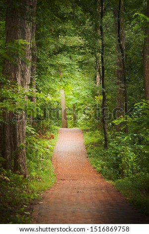 A brick paved pathway going through Indiana University in Bloomington, Indiana with green lined trees in the summer.