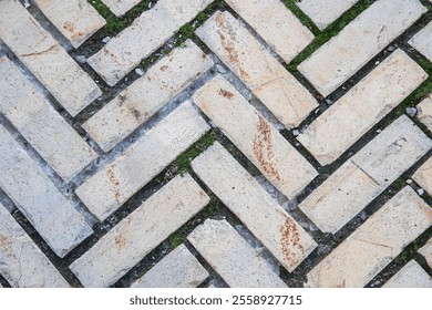 Brick Pavement in Herringbone Pattern with Grass Between Tiles, Texture and Pattern of Old Cobblestone