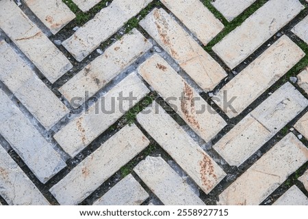 Brick Pavement in Herringbone Pattern with Grass Between Tiles, Texture and Pattern of Old Cobblestone