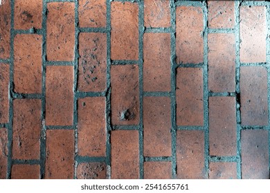 Brick paver close up - background texture of a brick pathway - herringbone or rows - Powered by Shutterstock