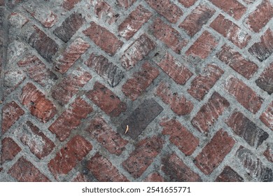 Brick paver close up - background texture of a brick pathway - herringbone or rows - Powered by Shutterstock