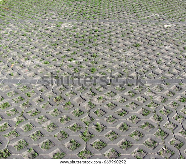 Brick paving walk path in the parking with\
green grass background\
