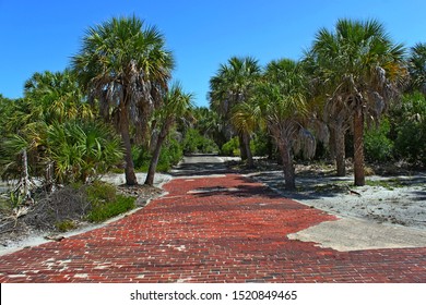 Brick Road In The Ghost Town Of Egmont Key, Egmont Key State Park, Florida.