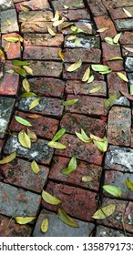 Brick Road with Leaf