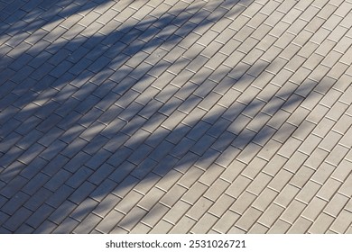 A brick sidewalk with a tree casting a shadow on it. The shadow is large and dark, covering most of the sidewalk