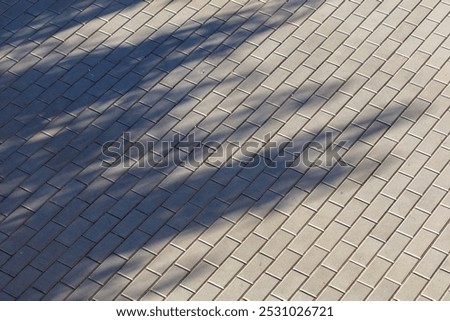A brick sidewalk with a tree casting a shadow on it. The shadow is large and dark, covering most of the sidewalk