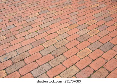 Brick Street In The Park For Pedestrian 