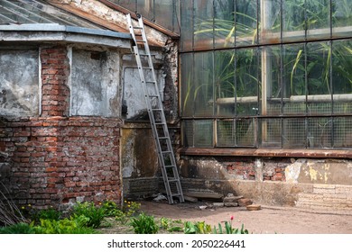 Brick Utility Extension Of The Old Botanical Greenhouse. Glass Facade With A Destroyed Brick Plinth.  Lots Of Various Plants Can Be Seen Behind The Glass Which Is Covered With A Thick Layer Of Dust.