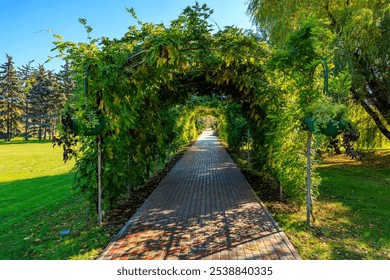 A brick walkway with a green archway leading through it. The archway is covered in vines and leaves, giving it a natural and peaceful feel. The walkway is surrounded by trees and grass - Powered by Shutterstock