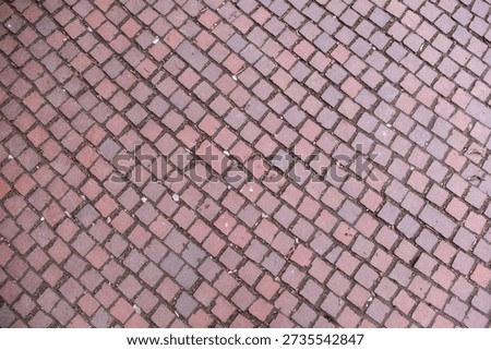 A brick walkway with a pattern of squares. The bricks are red and the pattern is irregular