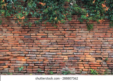  brick wall