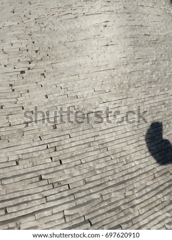 Similar – Image, Stock Photo temple guard Light Shadow