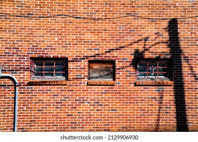 a brick wall downtown rural store bushiness abandoned empty closed closure rundown retro vintage windows town shadows facade