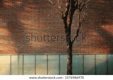 Similar – Image, Stock Photo street art