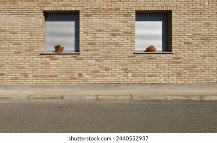 Brick wall facade with two closed gray shutter and flowerpots. Concrete sidewalk and street in front. Background for copy space.