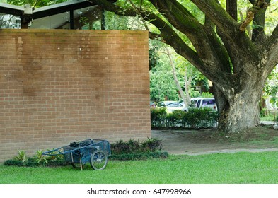 Brick Wall Green Grass Lawn And Large Tree Outdoor Landscape Background   