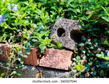 Brick wall and Greenery
