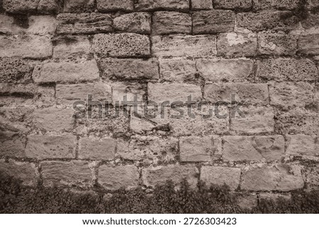 Brick Wall Rough Texture. Weathered Surface Frontview Gray