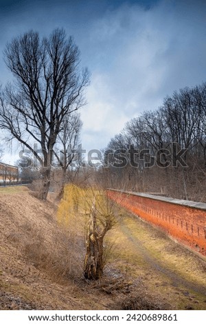 A brick wall surrounding a military fortress from tsarist times, a forest, a tall tree