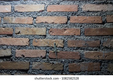 Brick wall, texture