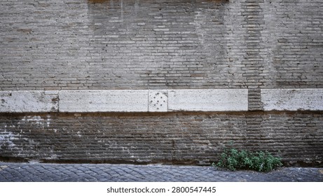 Brick wall texture with weathered mortar and a horizontal white stone band above a cobblestone street, small green plant at the base; background backplate copyspace calm.