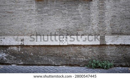 Brick wall texture with weathered mortar and a horizontal white stone band above a cobblestone street, small green plant at the base; background backplate copyspace calm.