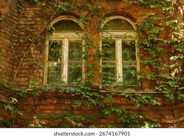 A brick wall with two windows framed in green vines