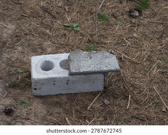 brick with wire for cladding a building. flexible bond brick