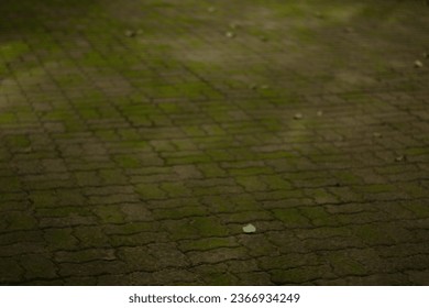 Bricks block the footpath where grass grows.