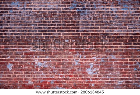 Bricks on wall texture. Bricks in masonry pattern. Bricks on redbrick surface. Bricks in rustic background.