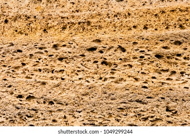 Brickwork of shell rock. Background structure. Wall.