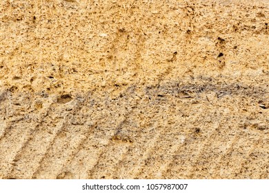 Brickwork of shell rock. Background structure. Wall.
