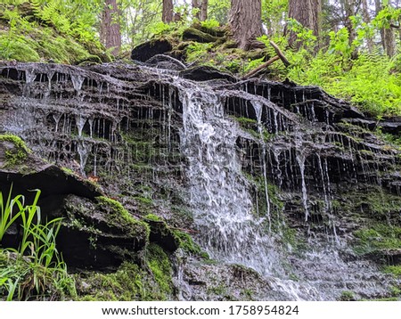 Bridal Falls at Allegany State Park in NY