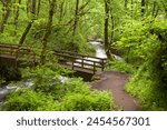 Bridal veil creek, trail and bridge, Columbia River Gorge National scenic area, Oregon