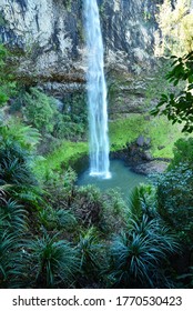 Bridal Veil Falls New Zealand