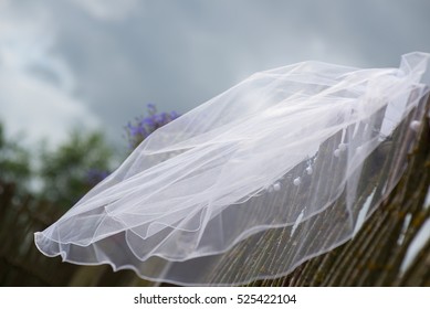 Bridal Veil In The Wind