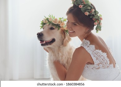 Bride and adorable Golden Retriever wearing wreath made of beautiful flowers indoors