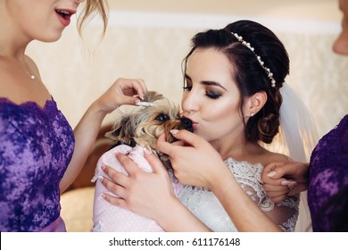 The bride with bridesmaids embracing a small dog