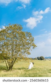 Bride Dancing Under a Lone Tree in a Serene Meadow on a Sunny Day with Blue Skies - Romantic Outdoor Wedding Scene.