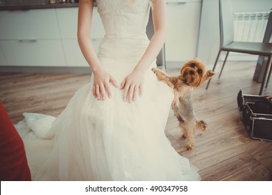 Bride in a gentle wedding dress sits on a chair with her dog