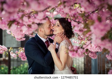 新郎新婦 さくら Stock Photos Images Photography Shutterstock