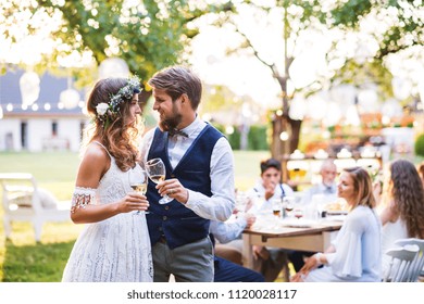 Bride And Groom Clinking Glasses At Wedding Reception Outside In The Backyard.