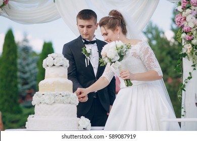 The Bride And Groom Cut The Wedding Cake White