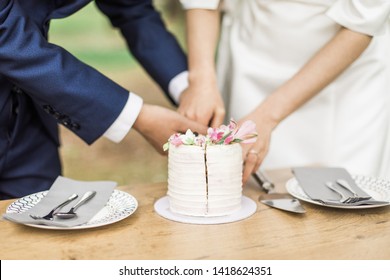 Bride And Groom Cutting Small Wedding Cake, Close Up