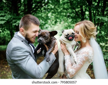 Bride and groom hold white and black pugs standing in the green forest