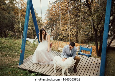 Bride and groom on swing on rustic autumn wedding. Bride and groom are sitting on swing in autumn forest keeping dog and laughing merrily. 