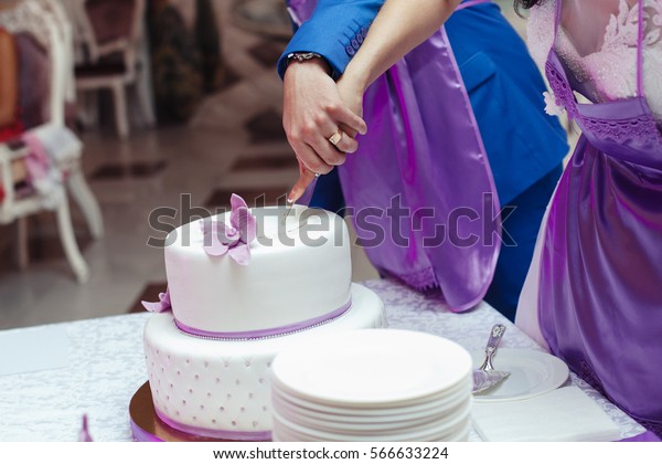 Bride Groom Violet Aprons Cut Wedding Royalty Free Stock Image