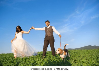 Bride and groom walk their beagle dog in the green field.