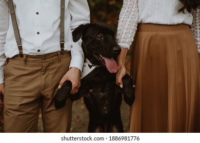 Bride and groom wedding with dog 